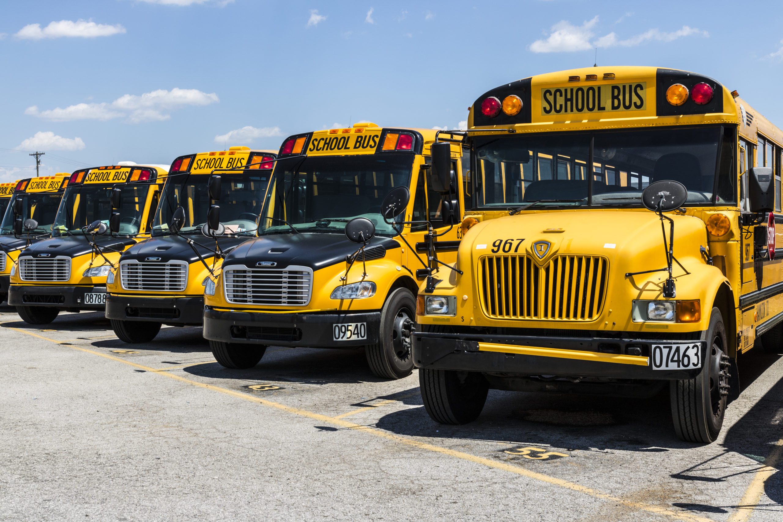 Row of Busses